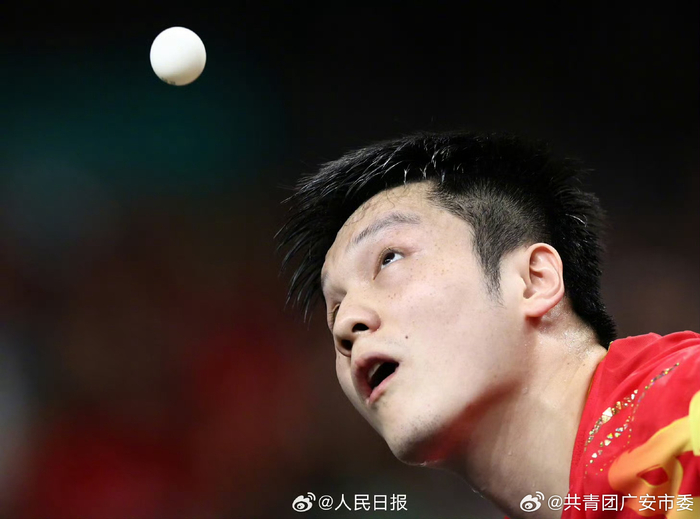 法国队逆转奥地利队，樊振东高光表现的简单介绍