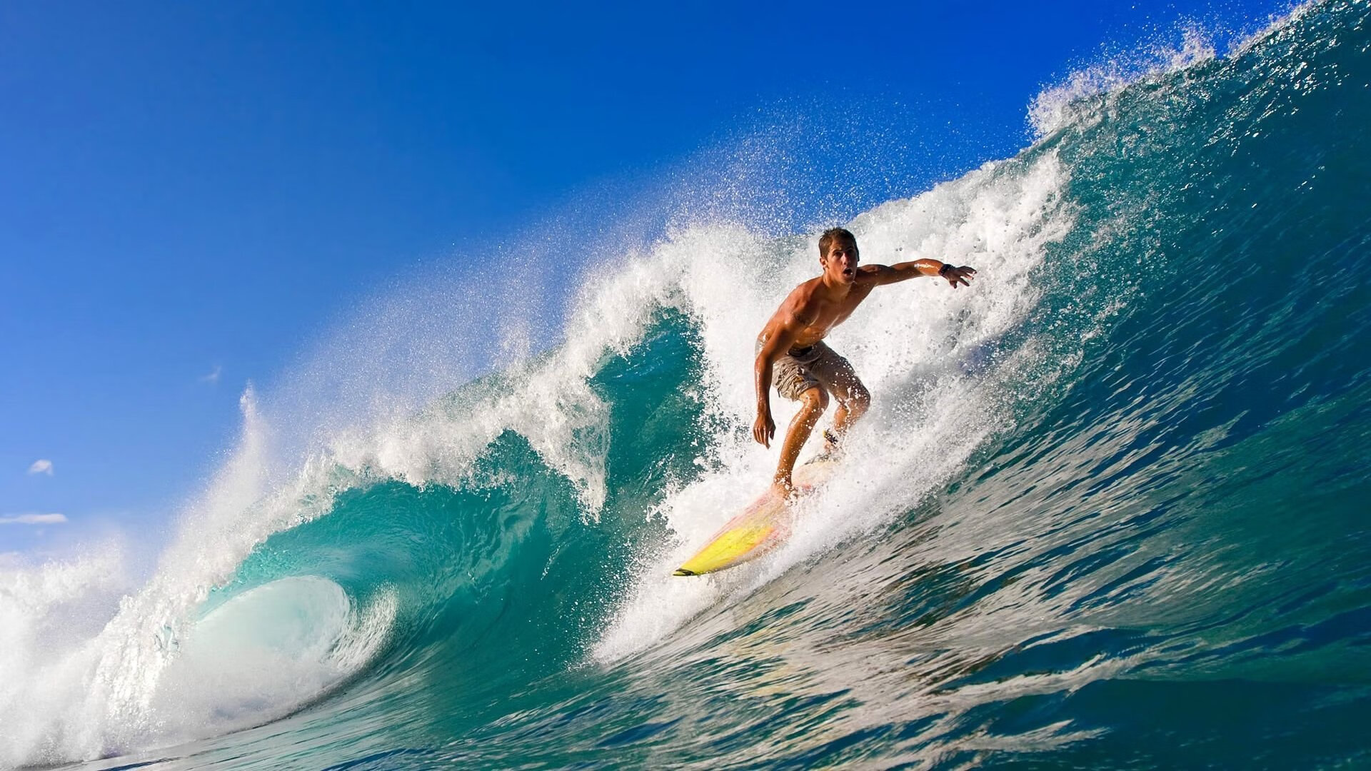 年度焦点之战之夜，文班亚马如何以节奏掌控书写传奇